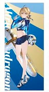 FGO Fate TYPE-MOON 型月 C102 ミニキャラ ビーチボール FGO Fate TYPE-MOON 型月 C102 ミニキャラ ビーチボール - メルカリ